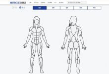 Musclewiki網(wǎng)站：中文健身網(wǎng)，一個(gè)健身的好網(wǎng)站 - 站長(zhǎng)筆記